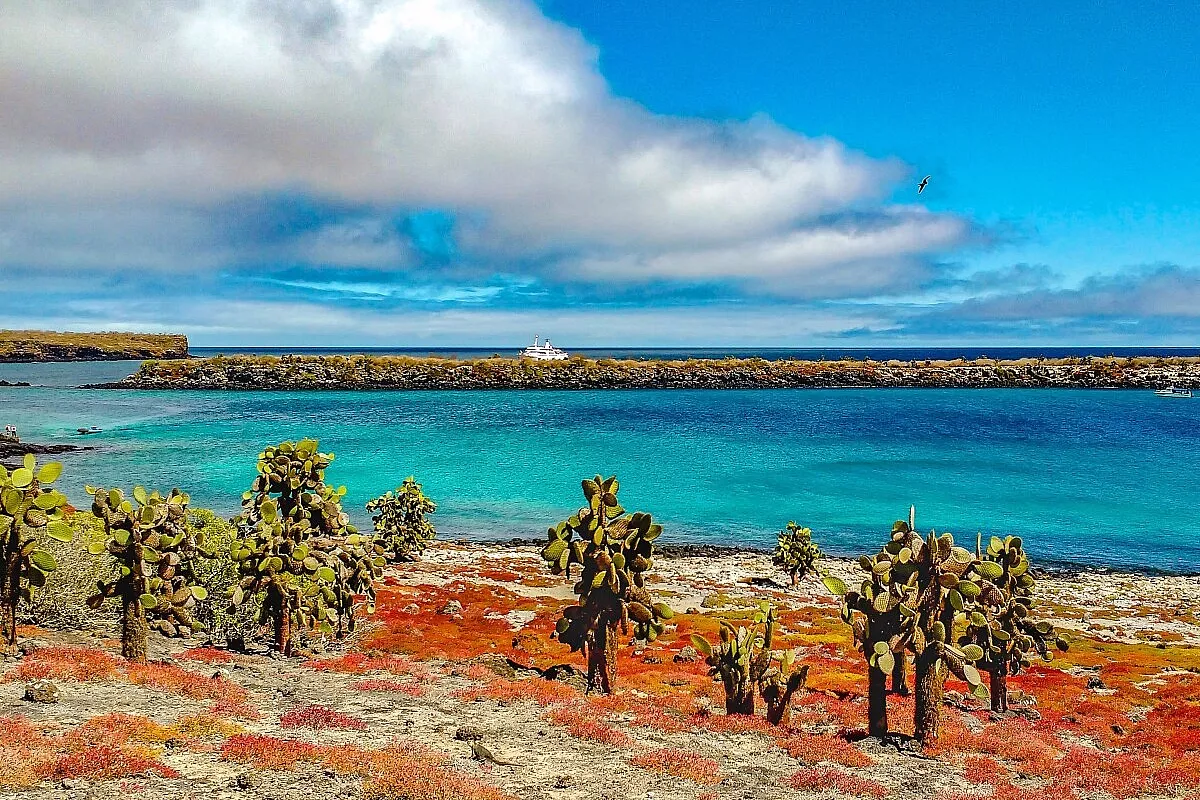 Galapagos