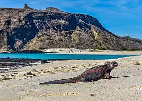 turistipercaso isole-galapagos-7cpb5