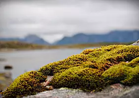turistipercaso isole-lofoten-3u6nm