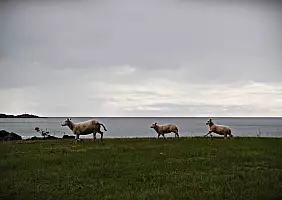 turistipercaso isole-lofoten-6pbj6