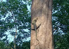 turistipercaso isole-perhentian-jvjm7