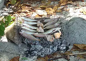turistipercaso isole-perhentian-sw124