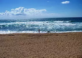 turistipercaso israele-kvnqj