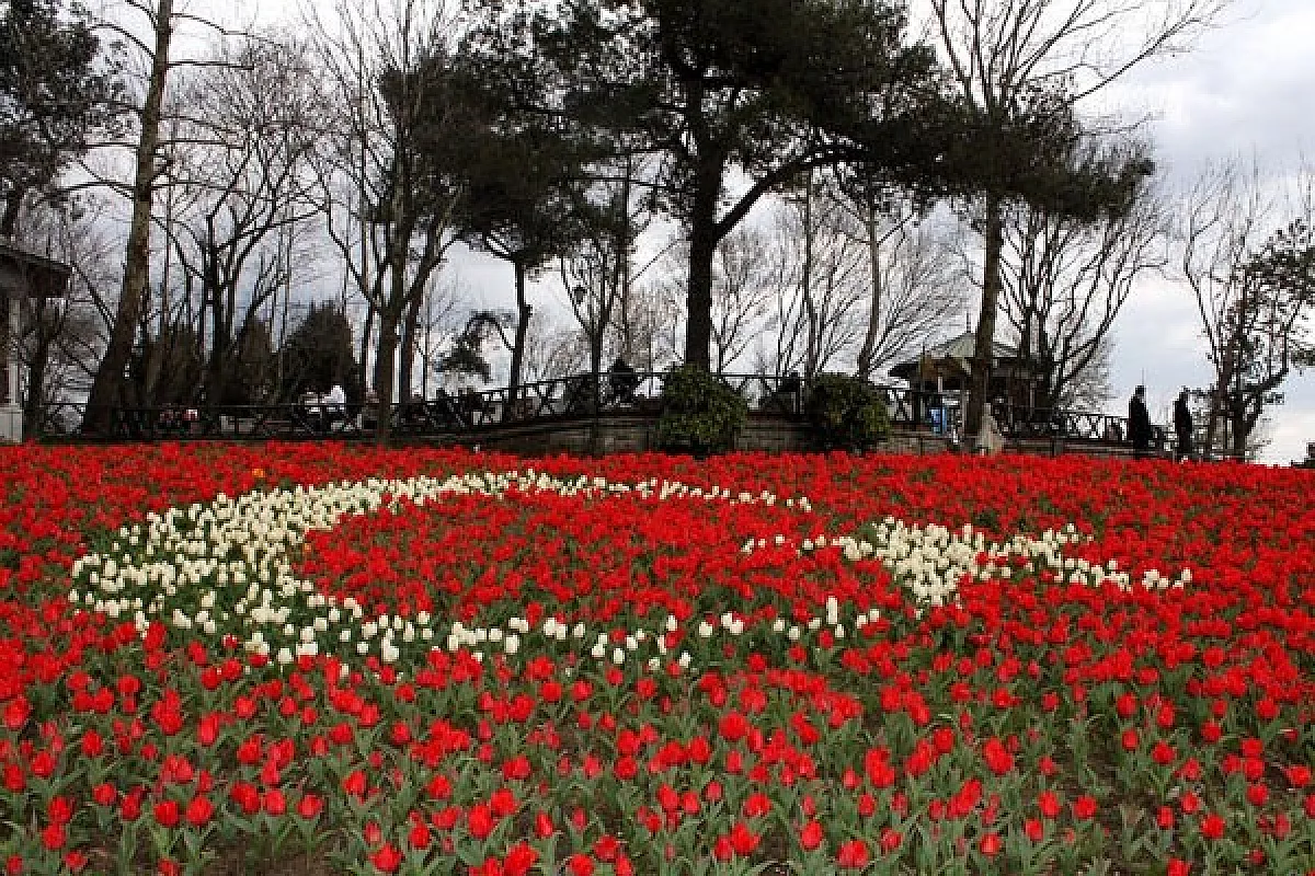 A Istanbul per il festival dei tulipani