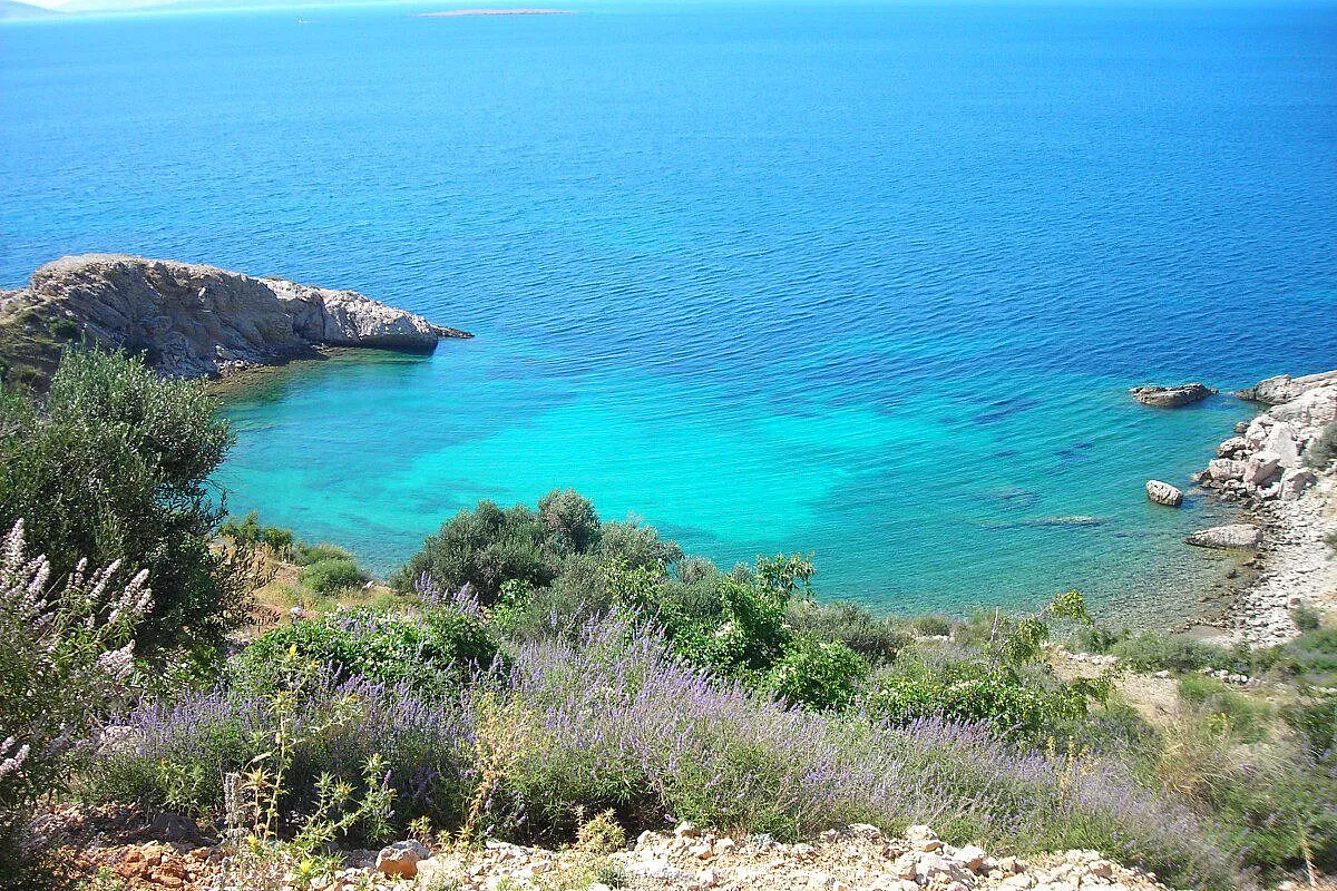 Stara Baska