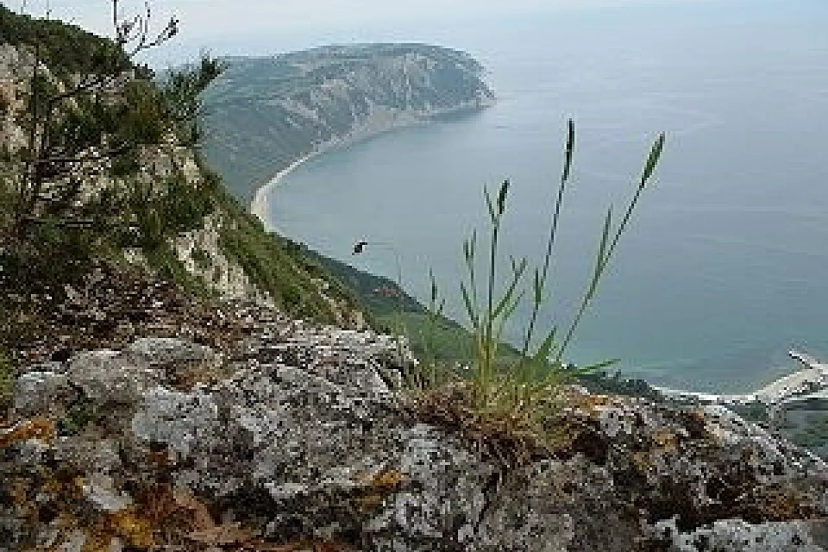 Parco regionale del Conero, un mare che non ti aspetti