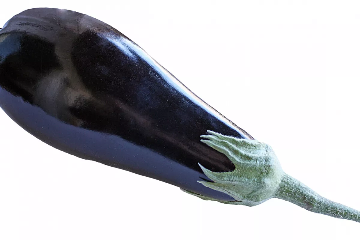 Involtini di melanzane
