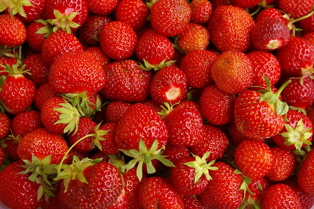 Risotto ubriaco alle fragole