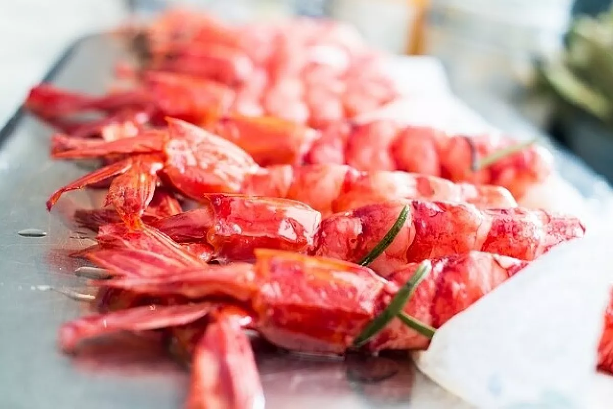 Gambero rosso tropicale