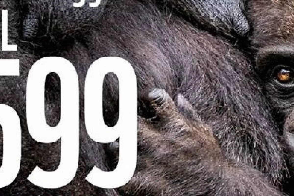 Insieme al WWF per salvare la natura