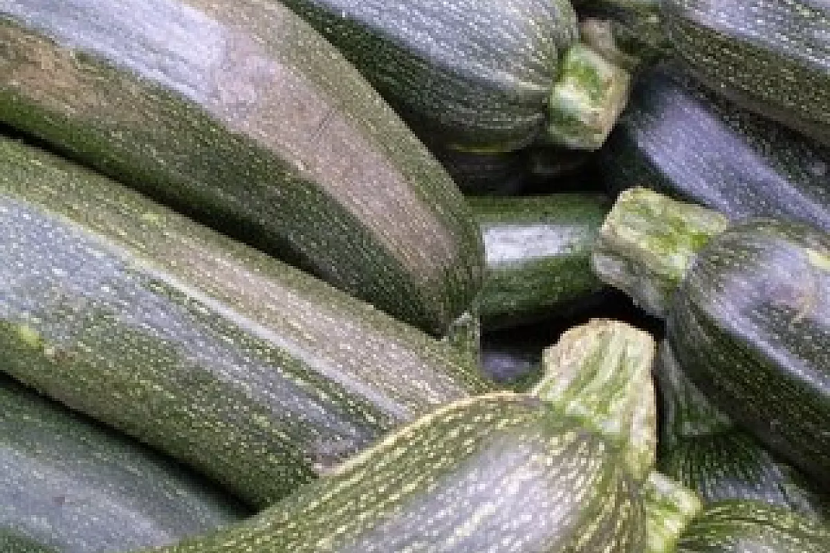 Carpaccio di zucchine