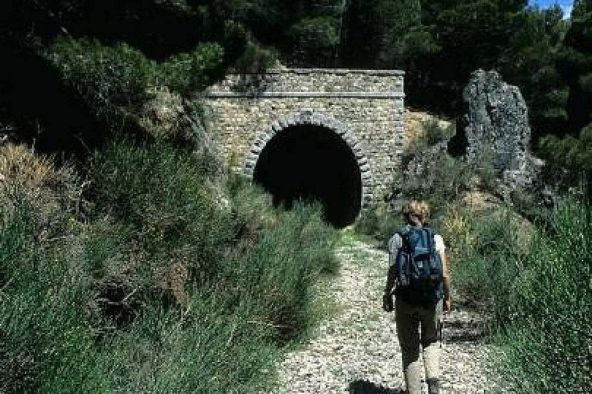 Italia Senza Benzina: il 1 Marzo 2009 è la Giornata delle Ferrovie Dimenticate