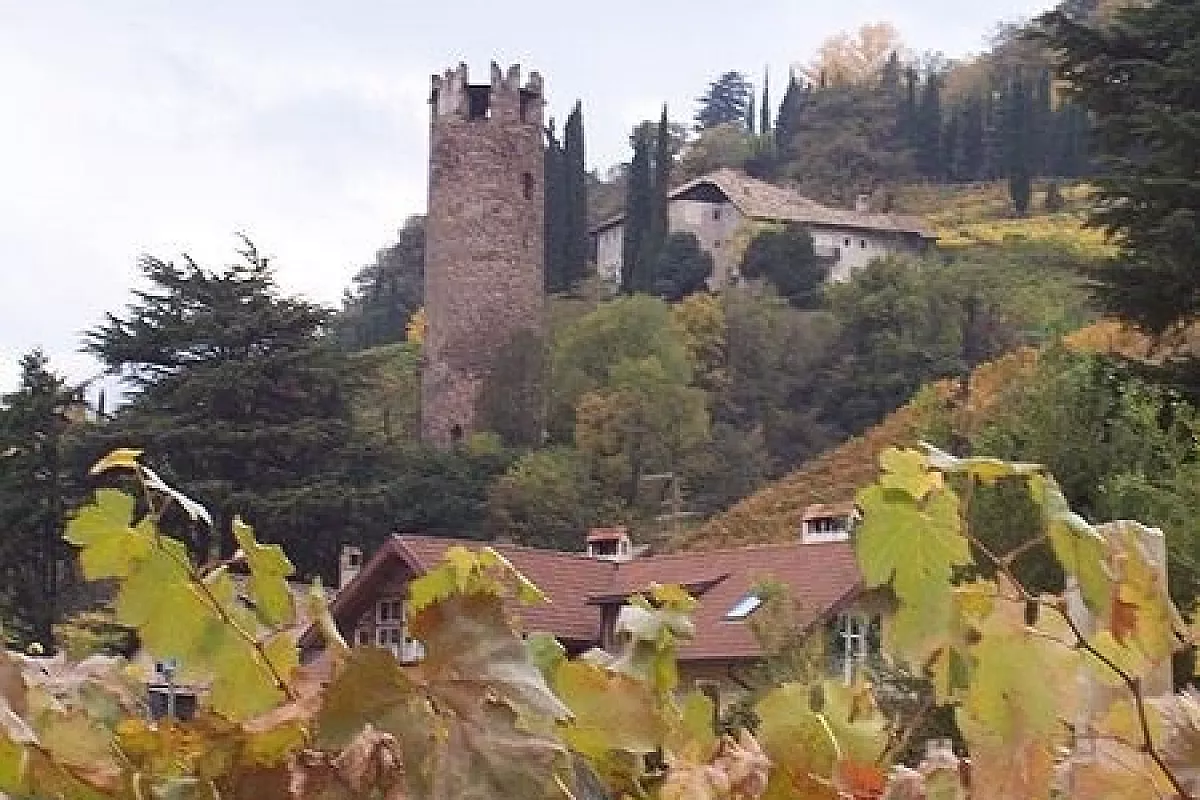 Cercavo la natura, l’ho trovata Trentino