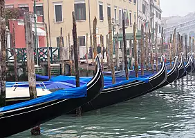 turistipercaso italia-wp2ns