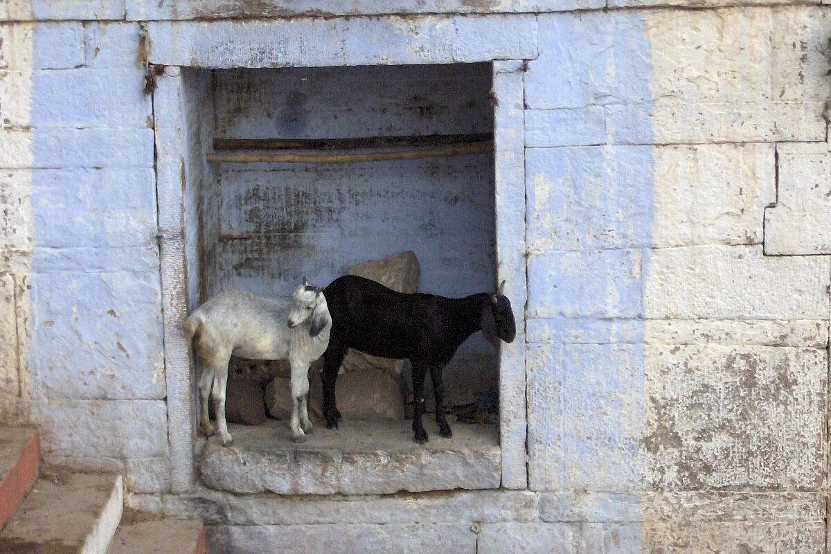 il bianco e nero