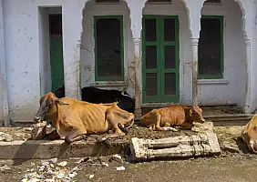 turistipercaso jaipur-hzc91