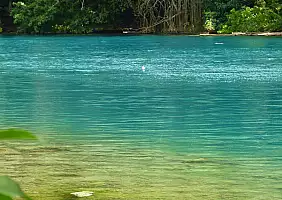 turistipercaso jamaica-4x1rz