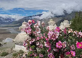 turistipercaso jammu-and-kashmir-z4hda