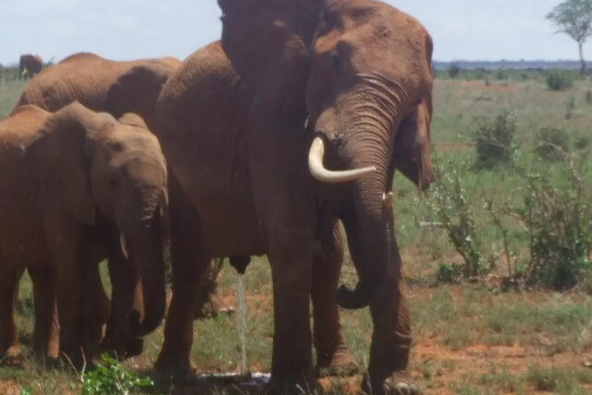 Kenya da vivere