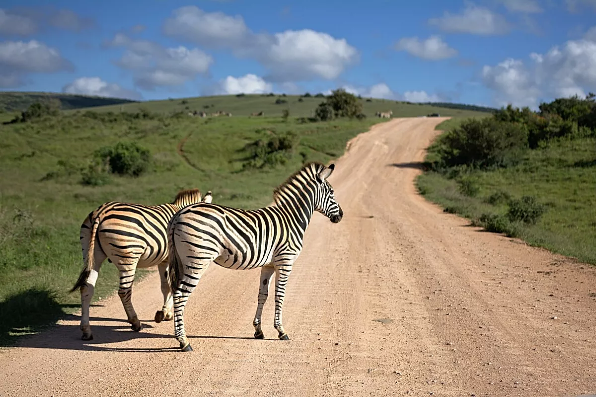 Johannesburg, dove tutto inizia