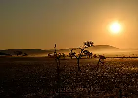 turistipercaso kalahari-g1p6b