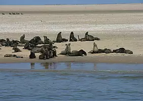 turistipercaso kalahari-kktfd