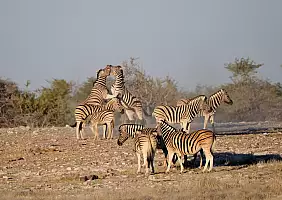 turistipercaso kalahari-mgmg4