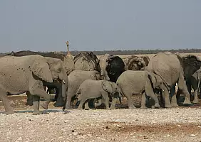turistipercaso kalahari-v6tv9