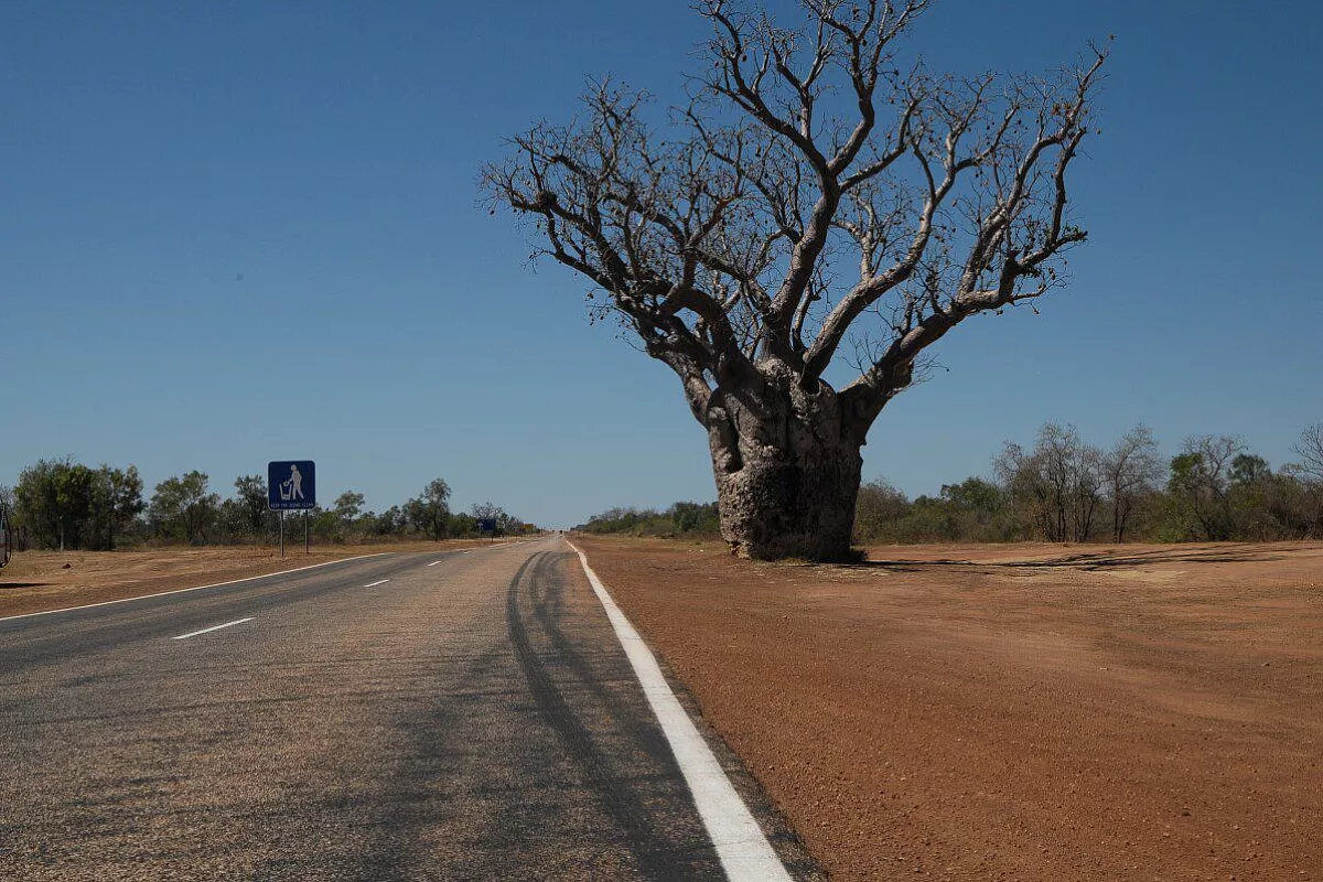 The road