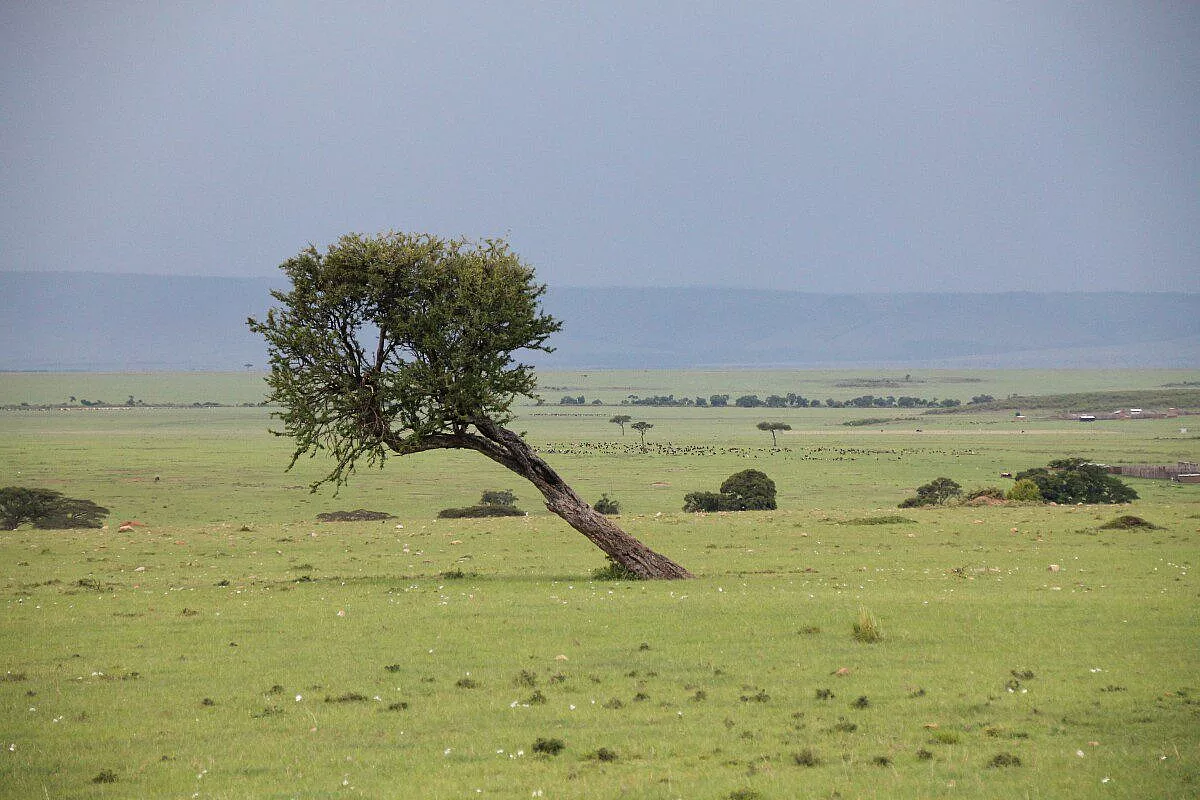 This time is for Africa – Immortali Kenya Tour 2017