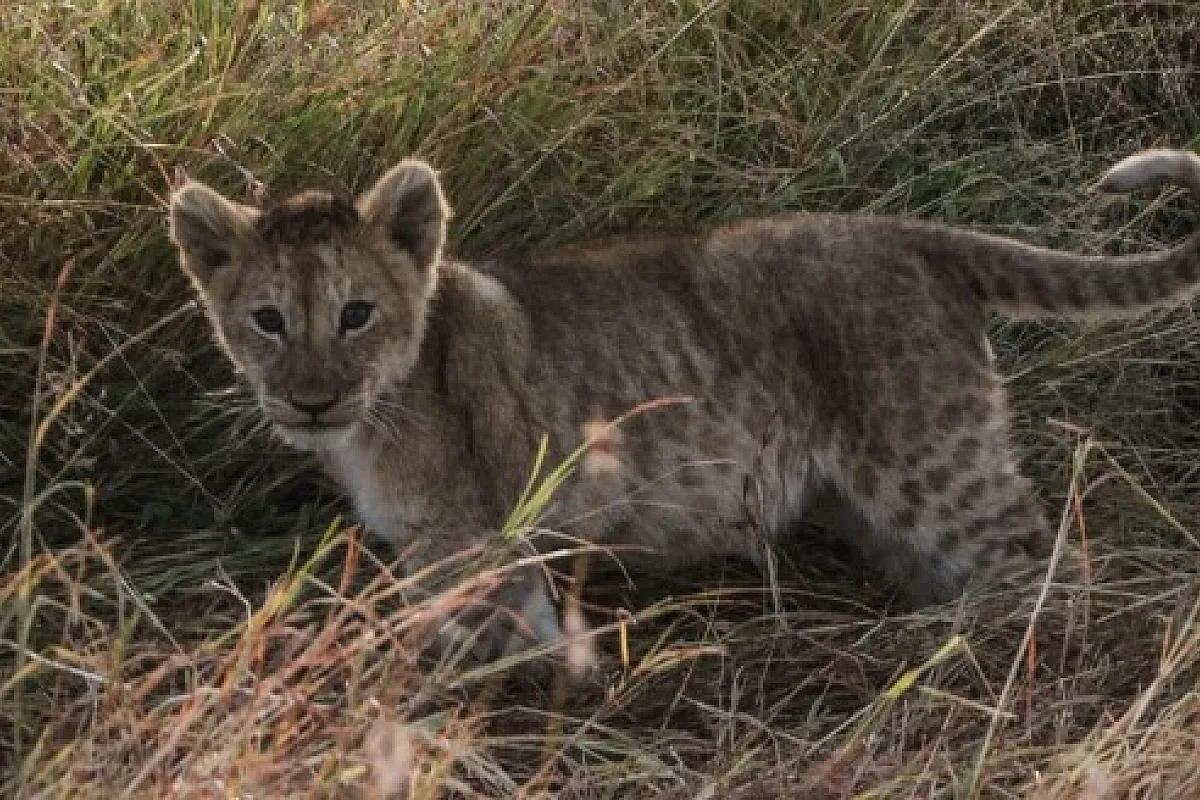 Kenya, un paradiso dimenticato