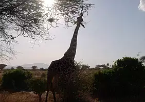 turistipercaso kenya-natura-erc8w
