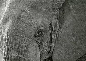 turistipercaso kenya-natura-j6pfc