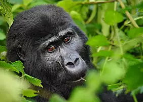 turistipercaso kenya-natura-jfc99
