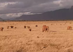 turistipercaso kenya-natura-xacb1