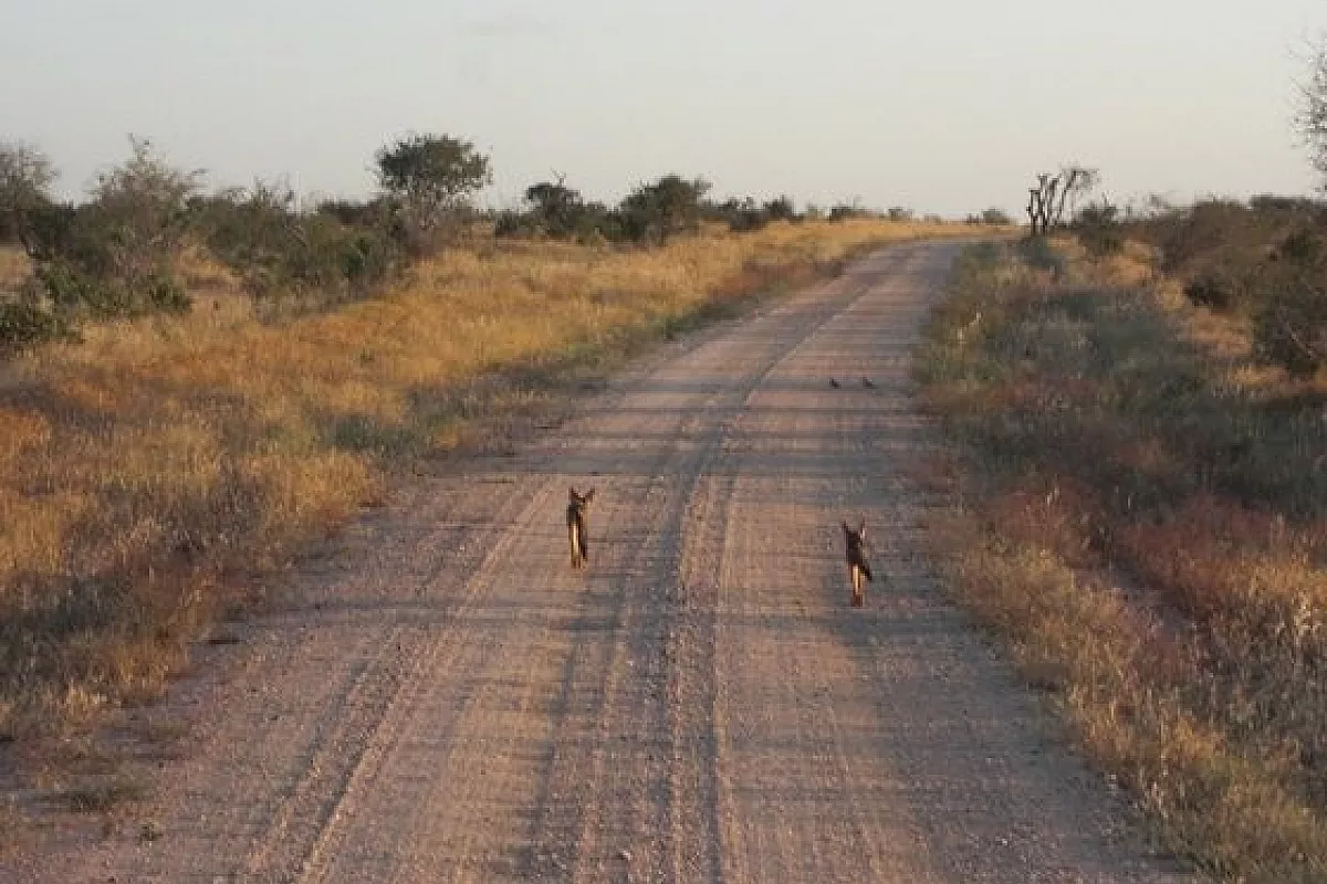 Volontariato a Malindi, Kenya