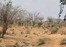 turistipercaso kenya-watamu-8d1bm