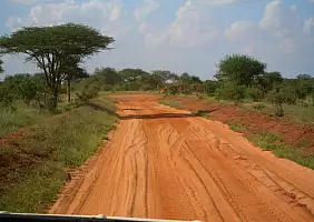 turistipercaso kenya-watamu-natura-67r88