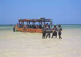 turistipercaso kenya-watamu-natura-gmr17