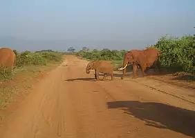 turistipercaso kenya-watamu-natura-jfxg2