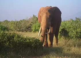 turistipercaso kenya-watamu-natura-mkmkk
