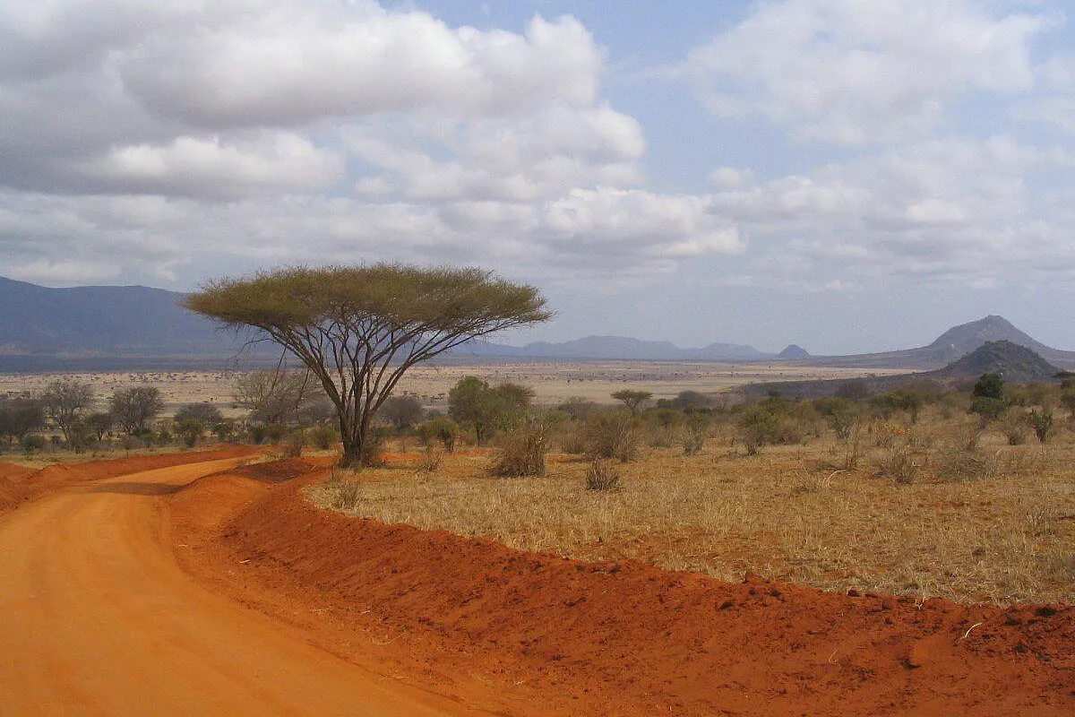Un bel viaggio di 15 giorni in Kenya