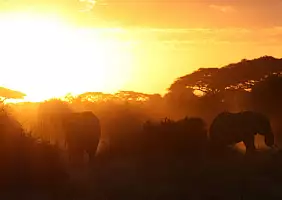 turistipercaso kilimangiaro-unzag