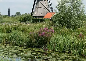 turistipercaso kinderdijk-natura-bskmj
