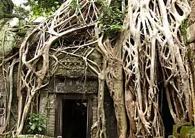turistipercaso koh-phangan-hotel-temy4