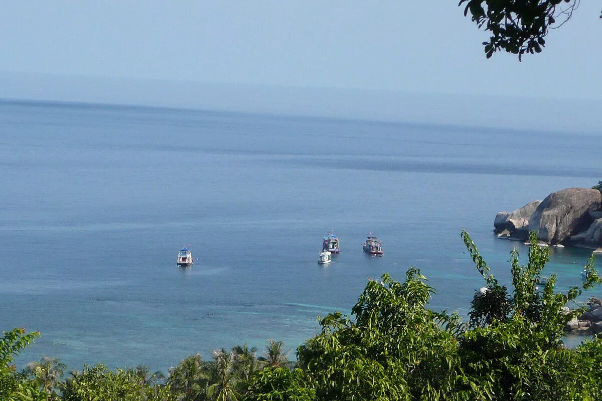 Shark bay