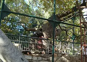 turistipercaso kos-511ye