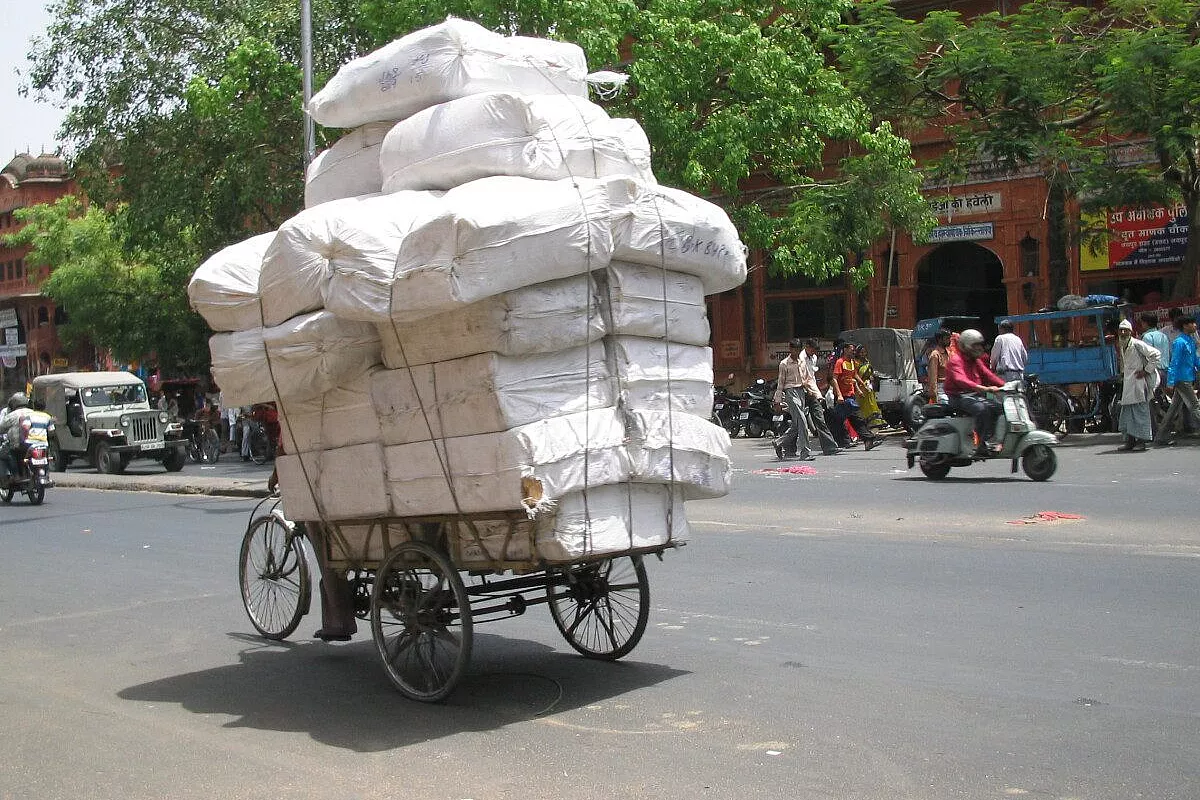 india del sud, un mondo a parte