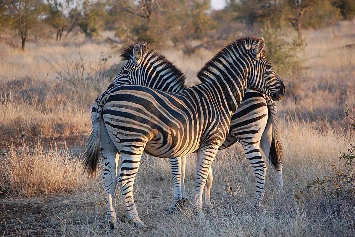 I nostri 10 consigli per il Sudafrica