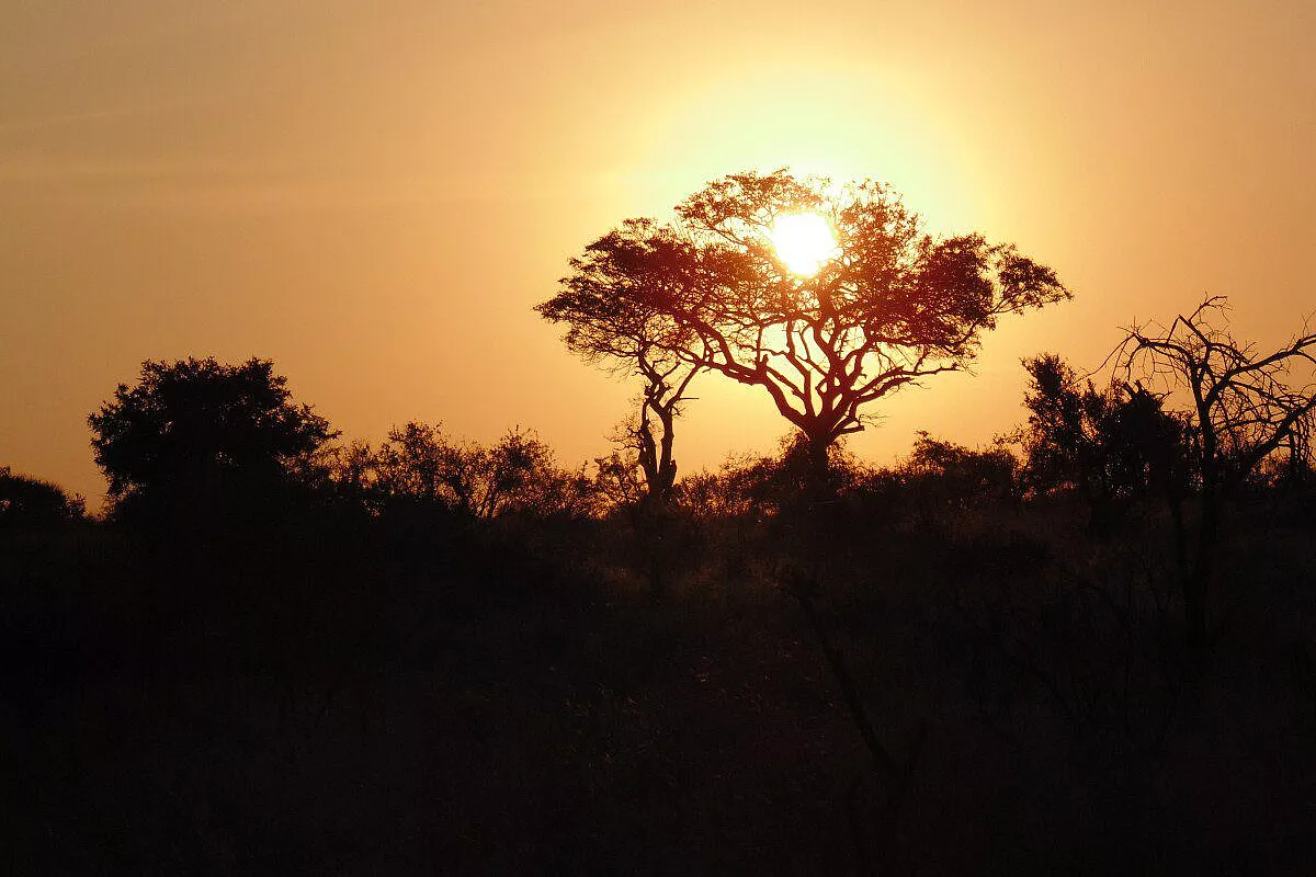 Io e gli animali del Sudafrica